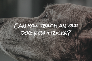 Can you teach an old dog new Tricks?