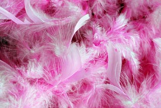 Pink Feather Boa