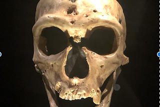Neanderthal, a fascinating cousin