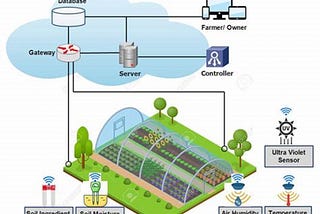 Smart Sensors and IoT: Real-Time Soil and Crop Monitoring