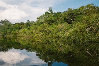 Will Brazil seize the climate opportunities in the carbon-storing Amazon?