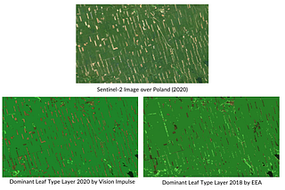 Towards the next generation of forest monitoring services with Artificial Intelligence and Earth…