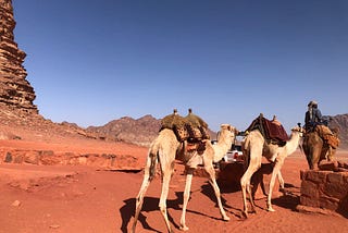 jordan 7 days itinerary