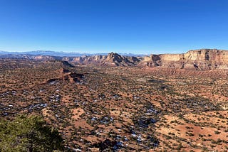 Giving Thanks in the Desert