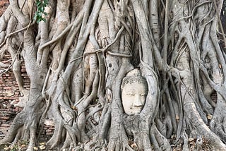 Thai food 🥘, Thai temples and rusty bikes 🚲