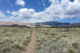 Ever Shifting Terrain of the Great Sand Dunes