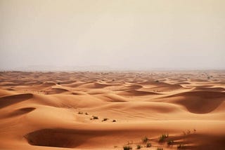 Vip Desert Safari Dubai | Desert Safari with Arabian Desert Safari Deals