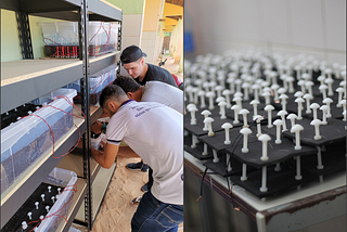 This bacteria-powered battery can generate electricity from soil