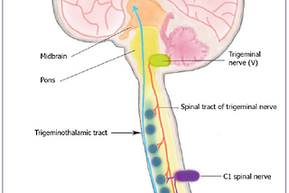 Trigeminal Neuralgia & The Neck