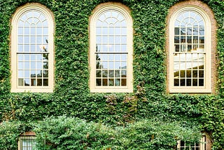 Why an Ivy League Degree Is Worth It — At Virtually Any Cost