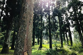 Mirik