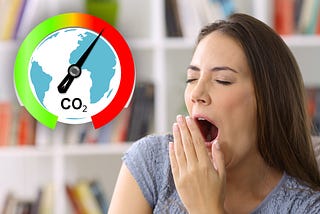 Boredom & The Climate Crisis