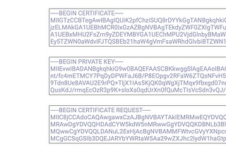 Setting SSL on nginx