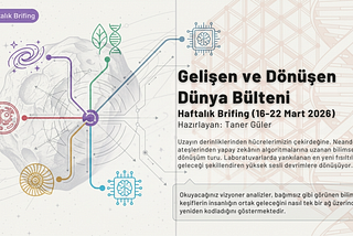 Gelişen ve Dönüşen Dünya Bülteni 17