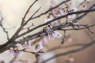 Spring Forward: Rekindling Momentum After a Winter Pause