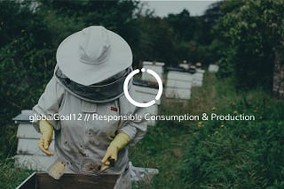 Global Goal 12: Responsible Consumption and Production (Closing the loop)