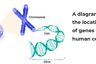 Gene Therapy: how does it treat Sickle Cell Anemia?