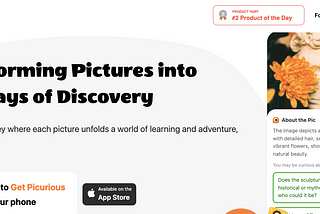 Cool Innovation #00164. Picurious.