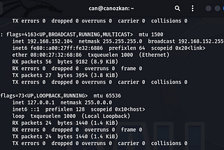 Penetration Testing — Scanning with Nmap