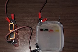 How I performed an electrophoresis reaction inside my bedroom.