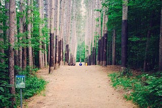 Breaking Down a Round of Disc Golf Pt 1