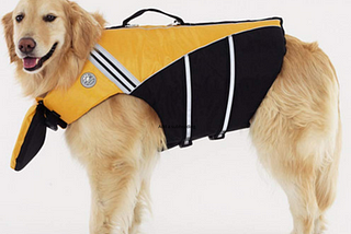 7 Best Dog Life Jacket Reviews —How To Choose the Best