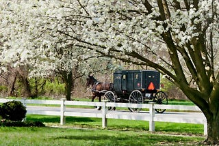 How I Celebrated Easter and Good Friday as an Amish American Child