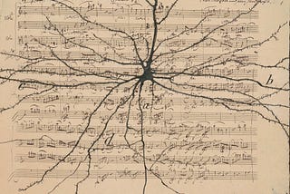 Why Your Brain Loves Predicting Music