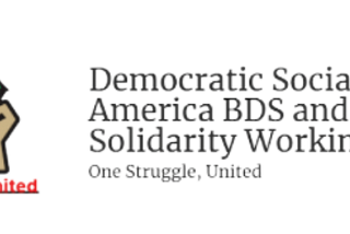 DSA BDS & Palestine Solidarity Working Group Calls on the NPC to Reverse Their Decision and Expel…