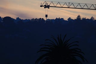 The Crane Amidst the Treetops