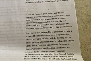 A page of word processed writing.