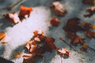 fallen leaves on gravestone