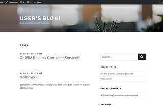 Installing Helm Charts on IBM Bluemix Container Service
