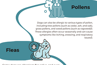 What Are the Top Things Dogs Are Allergic