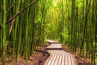 Following the Path You Were Meant to: What I’ve Learned Through Two Years of Self Development