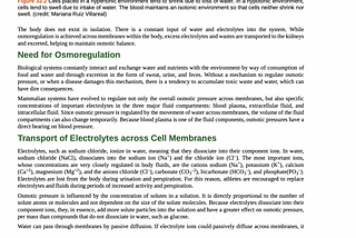 A.I Flashcard Generator