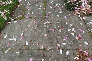 Portland, Spring 2022