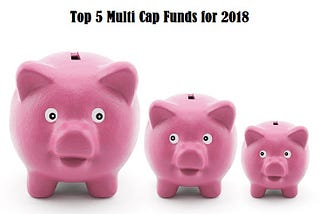 Top 5 Multi Cap funds for 2018 in India