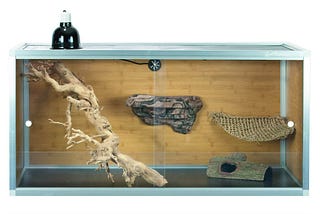 best-bearded-dragon-cage