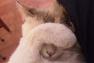 A cat with its paw over its face