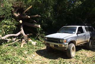 Rural and raw…axe chopping, tree clearing, blistered hands and an aching back just feels right for…