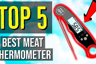 Best Meat Thermometer Australia 2021