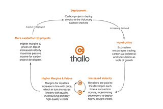 Incentives in Sustainability & Web3