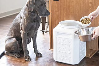 Dog Food Secrets Review: Is This Worth You Spending Money On?