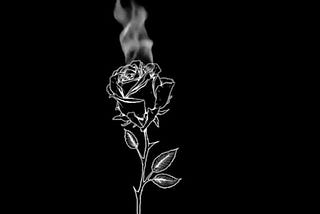 Poetry: Dead Roses