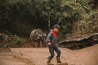 A Hmong boy plays soccer in his village near Sapa, Vietnam, while a water buffalo walks behind him.