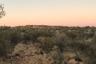 Cybernetics, dignity and the desert