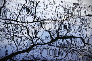Systemic investing, impact measurement, and evaluation