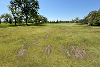 May! Frost Injury?, Soil Temp 50s, ABW Adult Counts Fall, Mouse Ear Chickweed and Tenacity Research