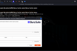 Burp Suite PRO Ücretsiz Kurulum